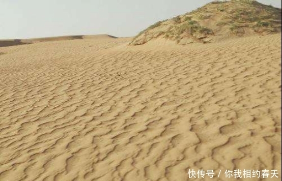 治理|我国养150只“猛兽”来治理沙漠，结果怎么样？网友：佩服发明家