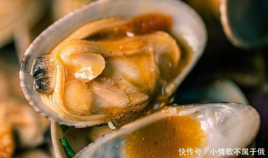 清洗|清洗花甲时,有人放油有人放盐,其实都不对,这样做花甲狂吐沙