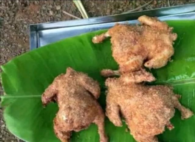 效果|印度三哥为吃炸鸡,给鸡狂扎400根牙签,出锅时效果让人惊讶