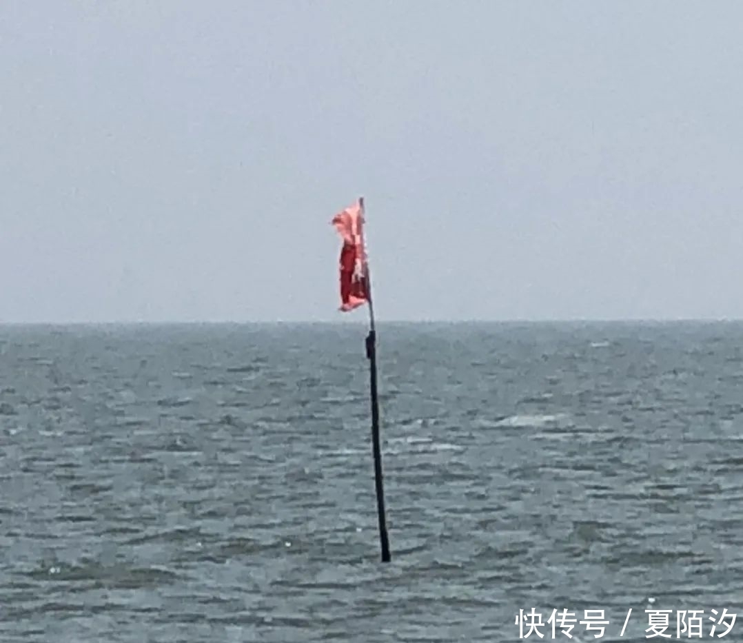 保护区|太湖捕鱼!这6个人被采取刑事强制措施!