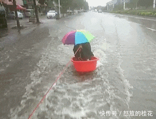 不服|搞笑GIF:我不服别的,就服这个演技