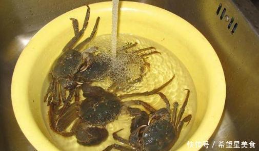 依旧|保存螃蟹时,别直接放冰箱,渔民教你一招,放一周依旧鲜活