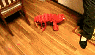 GIF|搞笑GIF:求求你了,让我吃点吧,不然的话我就抢了啊