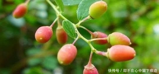  处世|真正厉害的人，往往具有这4种处世智慧，早晚出人头地