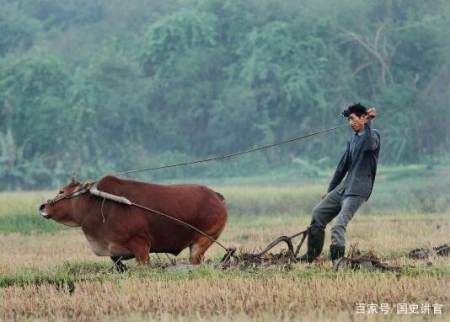 猪肉|满族人不吃狗肉，回族人不吃猪肉，汉族人不吃什么你们知道吗？