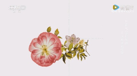 开播|《如果国宝会说话》第三季开播,看历史与现代如何擦出别样火花