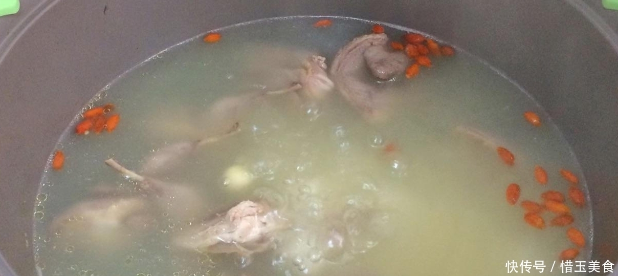 鸽子|营养不输鸽子,人称“动物人参”,一斤只要4块钱,却很少人吃过