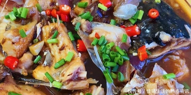 鱼头|原来鱼身上“最贵”的部位是它,很多人白给都不要,懂的人抢着买