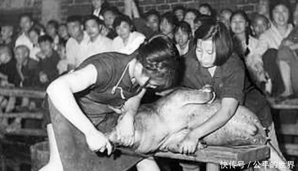 惊讶|老照片,看第二张我都惊讶了!这么多人围观!图4是18岁的慈禧!