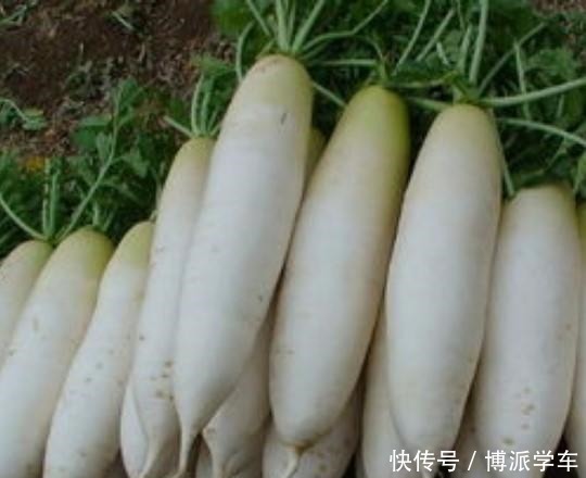 花样|啥蔬菜都吃不起,花样吃萝卜,你们都知道哪些!