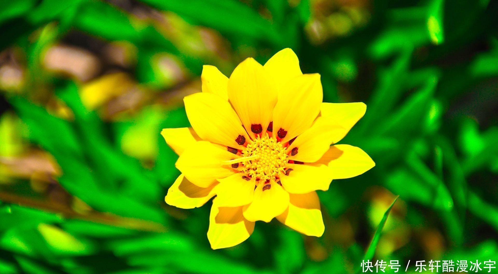 对方|不是谁都能成为白羊座的爱人