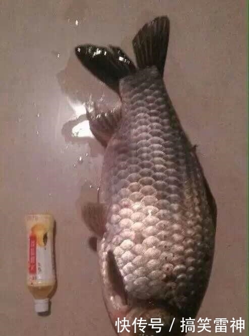 雪人|幽默搞笑: 求你退出雪人界吧!