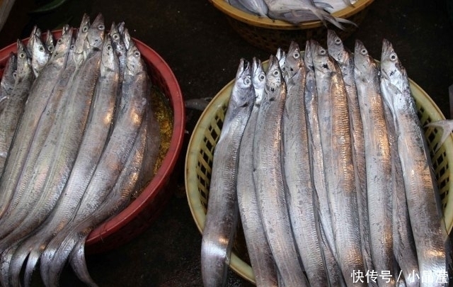 鱼贩子|买带鱼时,遇到这3种带鱼,聪明人扭头就走,鱼贩子此人是行家