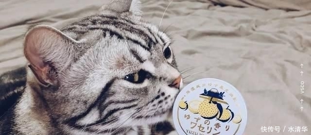  洗化|让我们追求无用 | 好闻的洗化产品合集