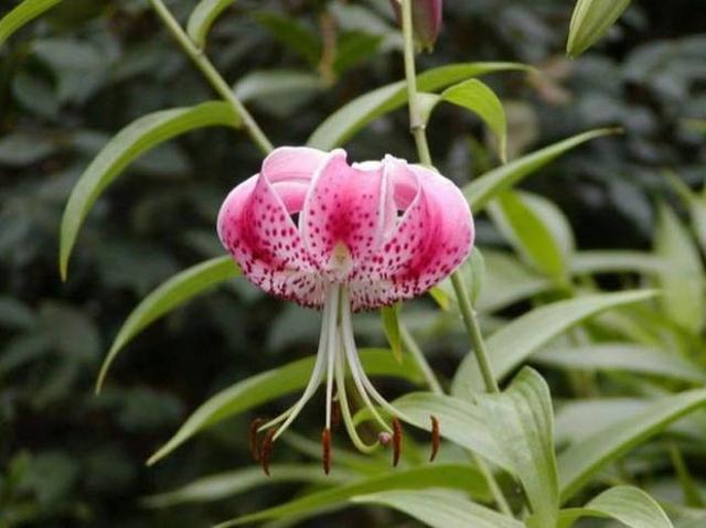  莫名|发人深省的哲理句子，精致有个性，莫名的想哭！