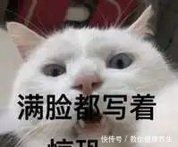 手冲咖啡|咖啡里的油对我们的健康是有害还是有利