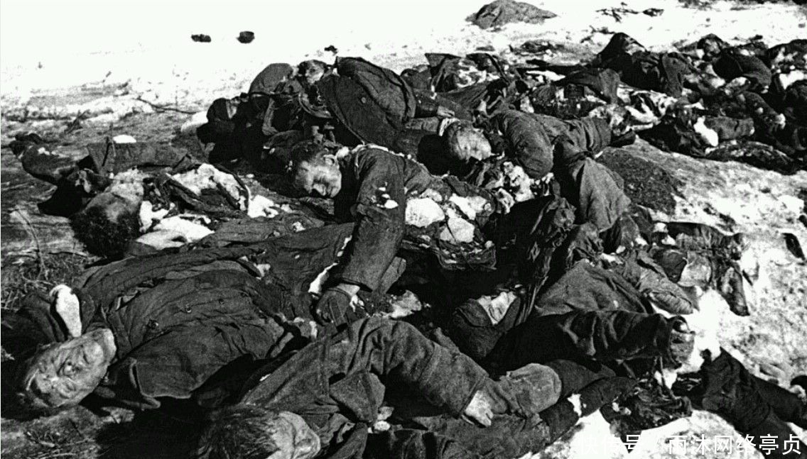 战争中|苏联冬天多恐怖?德军精锐打到莫斯科,50万人直接冻死城外