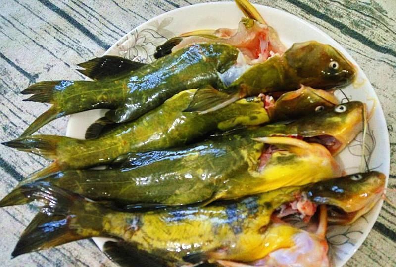 难吃|不管炖什么鱼,都不要放这“两种调料”,否则鱼很腥很难吃
