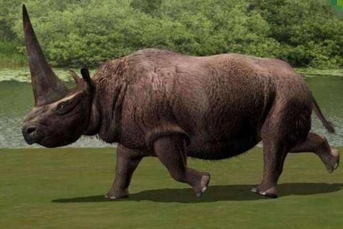 上榜|探索神奇的世界世界10大灭绝动物，霸王龙和渡渡鸟上榜，你认识几个