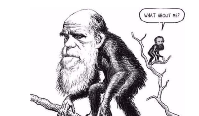 人类|黑猩猩与人类婴儿一同长大,以为自己是人类,后来变成什么样了