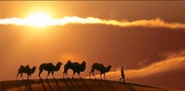 殖民|中国人殖民别国的历史, 国人大多不提