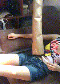  真好|搞笑GIF：这狗真厉害！这一波秀的真好！我以为你要摔倒呢？