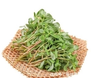 马齿菜|夏天正当时的蔬菜,蒸菜凉拌特鲜