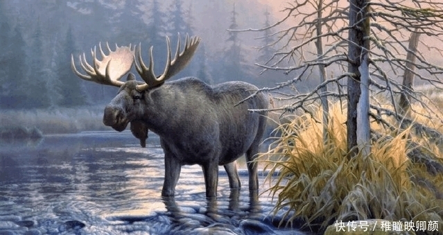 姜子牙|老子的坐骑, 赵公明的坐骑, 姜子牙的坐骑, 看谁的最拉风