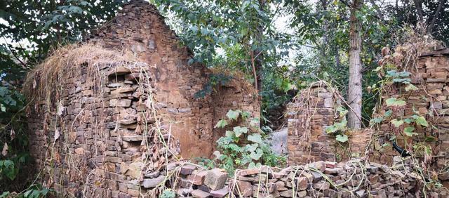 圣良庄|沂南故事(109)姚千斤姚八百斤兄弟