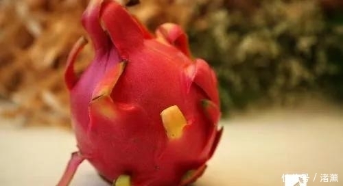 红心火|火龙果“红心”好还是“白心”好?不懂这一点,火龙果白吃了!