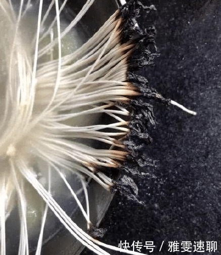 做饭|有些人做饭不要钱,但是他们收人性命!看完图3,00后都吓哭了