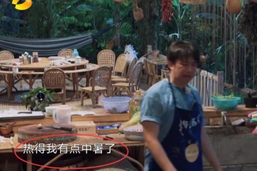 下午|《向往》烤一下午“叫花鸡”烧焦黄磊当场生气开骂,谁注意维嘉的表情