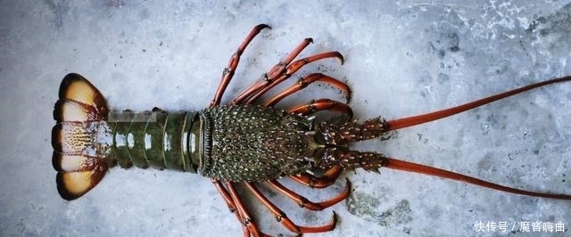 便宜|中国游客在澳洲吃龙虾,给了600块刚想离开,却被澳洲老板喊住