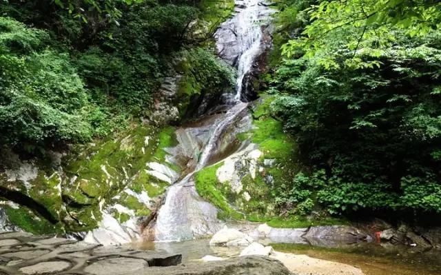  游山玩水|游山玩水，踏春赏花怎么能错过大美秦岭呢