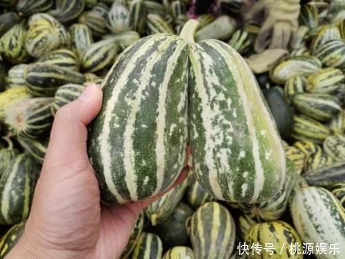 挑大|买甜瓜时,直接挑大的就错了牢记这3点,一挑一个准,个个香甜