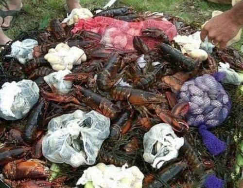 中国|看看美国烧烤,再看中国烧烤,胜负一目了然,网友:还是祖国好!