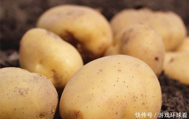  菜农|土豆挑选有技巧，菜农教你两招，挑出好土豆