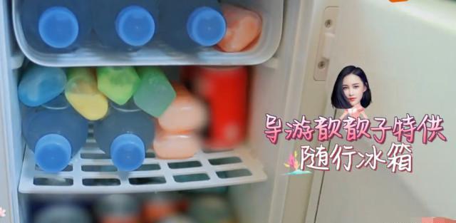 坐车|张歆艺坐车还准备吃的,当她拿出来那一刻,连外国来的吉娜都兴奋了