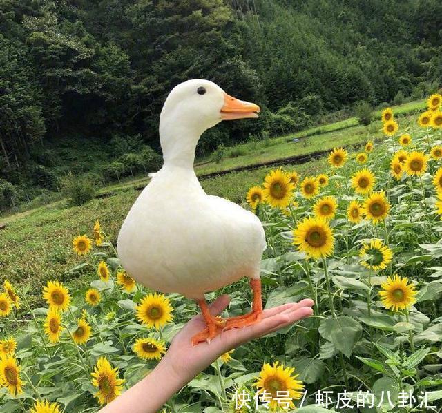  人生|启迪人生的经典说说，精辟有内涵，值得分享！