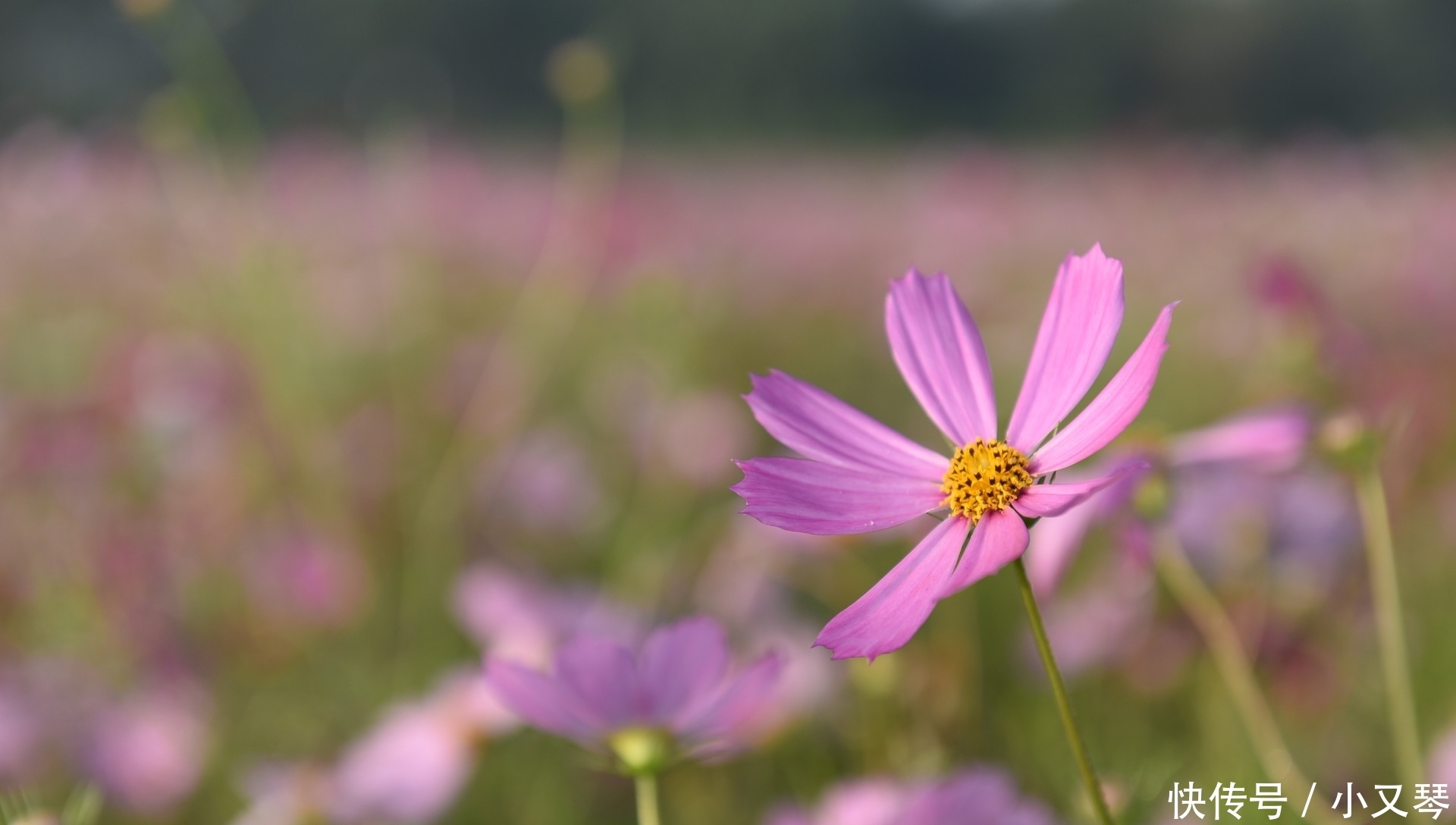 细节|女人择偶最重要就是看人品,观察他的人品,可以通过3个“细节”
