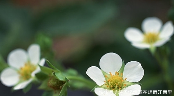  表里如一|十二星座外表和内心相差指数是多少？有人表里如一，有人深藏不露