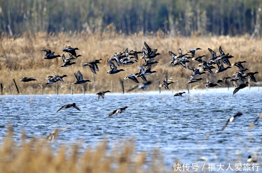  渔港古城|一条自驾游路线玩江南，6天1200公里，贯穿江浙皖三省18个王牌景点