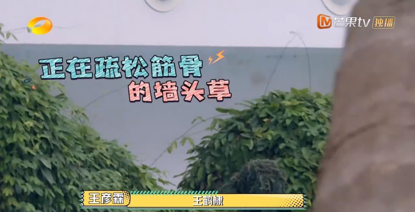  男人|今年最好笑的综艺！胡军杨洋领着一群男人天南海北地玩捉迷藏