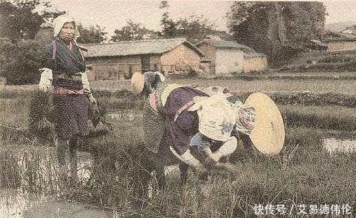 士兵|日军侵华士兵多出身农村，原本质朴的他们，为何在华无恶不作？