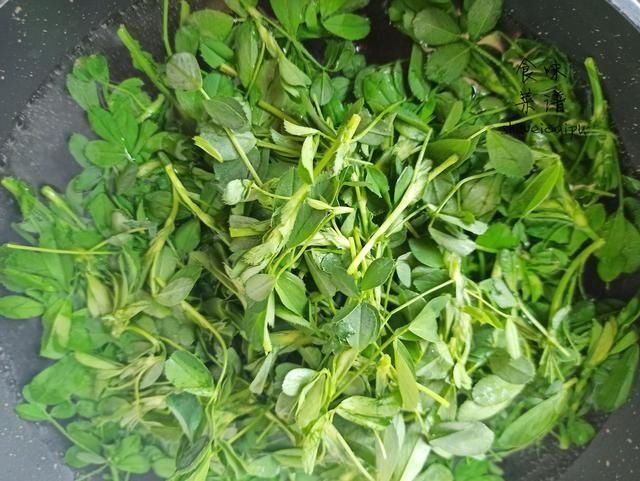 营养价值|春天碰到这野菜别犹豫,我一买就是20斤,营养价值高,常吃身体好