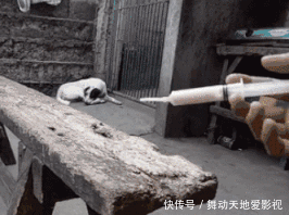 街上|“看这女子的裙子真的挺任性，走在街上我都替她感到尴尬”哈哈哈