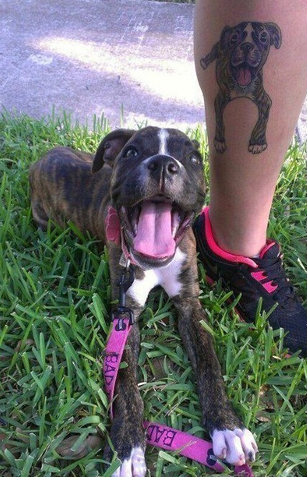 女孩子|爆笑段子:相亲遇到一个女孩子,进展得十分不错