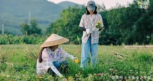 生活|勾心斗角!《向往的生活》为何越来越无聊?答案全程写在嘉宾脸上