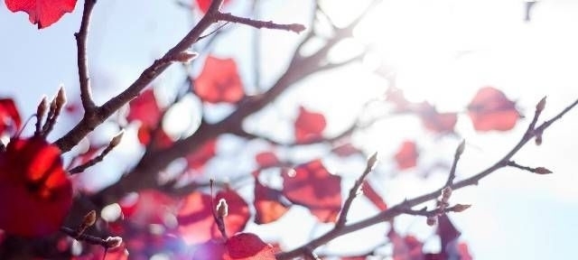 励志|几句励志心灵鸡汤,写在心里,为你一个人