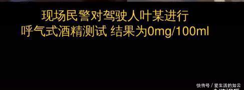 对半分|公交司机捡水杯时撞死路边行人！责任对半分合理吗？